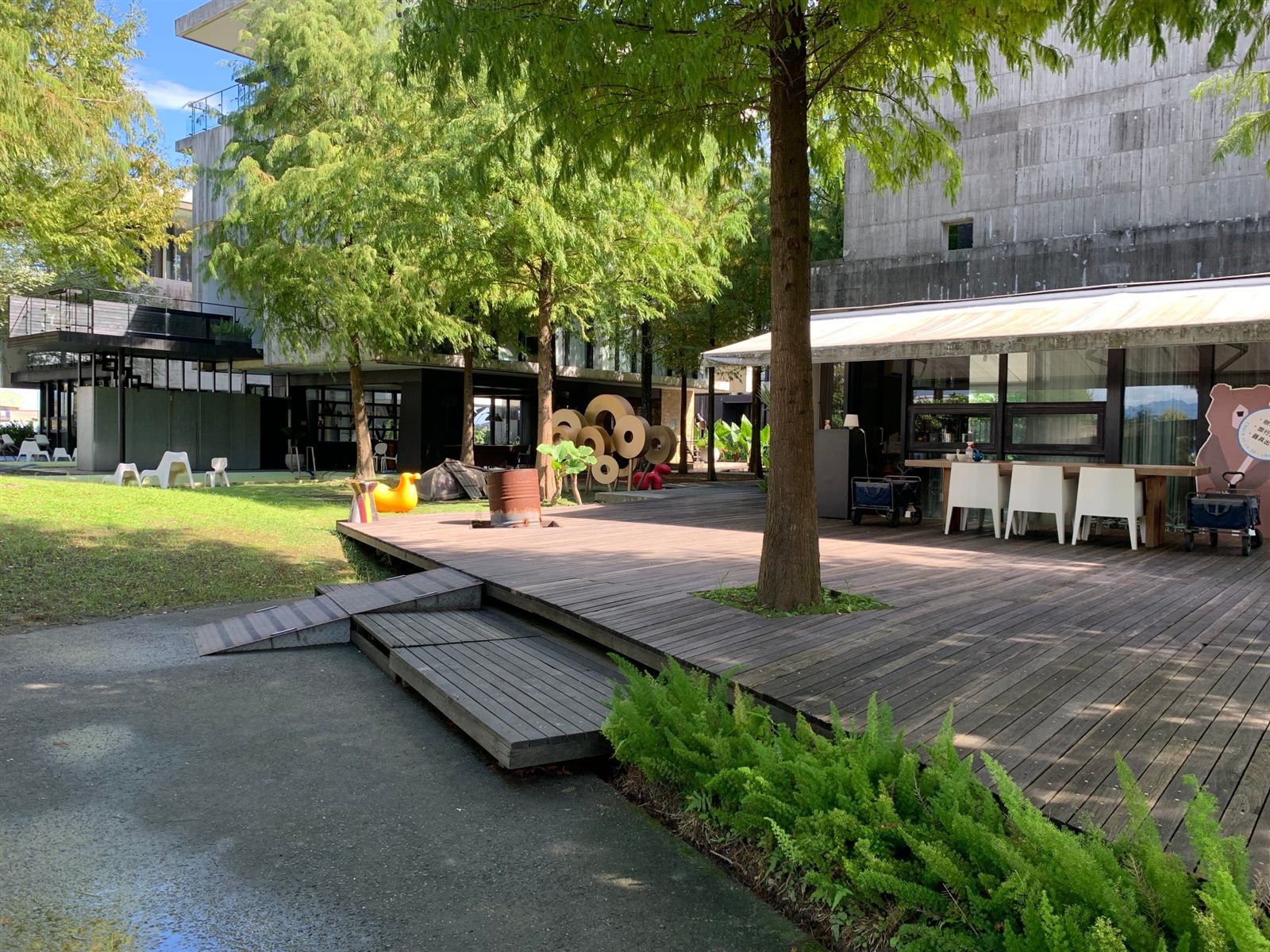 宜蘭落羽松森林包場場地