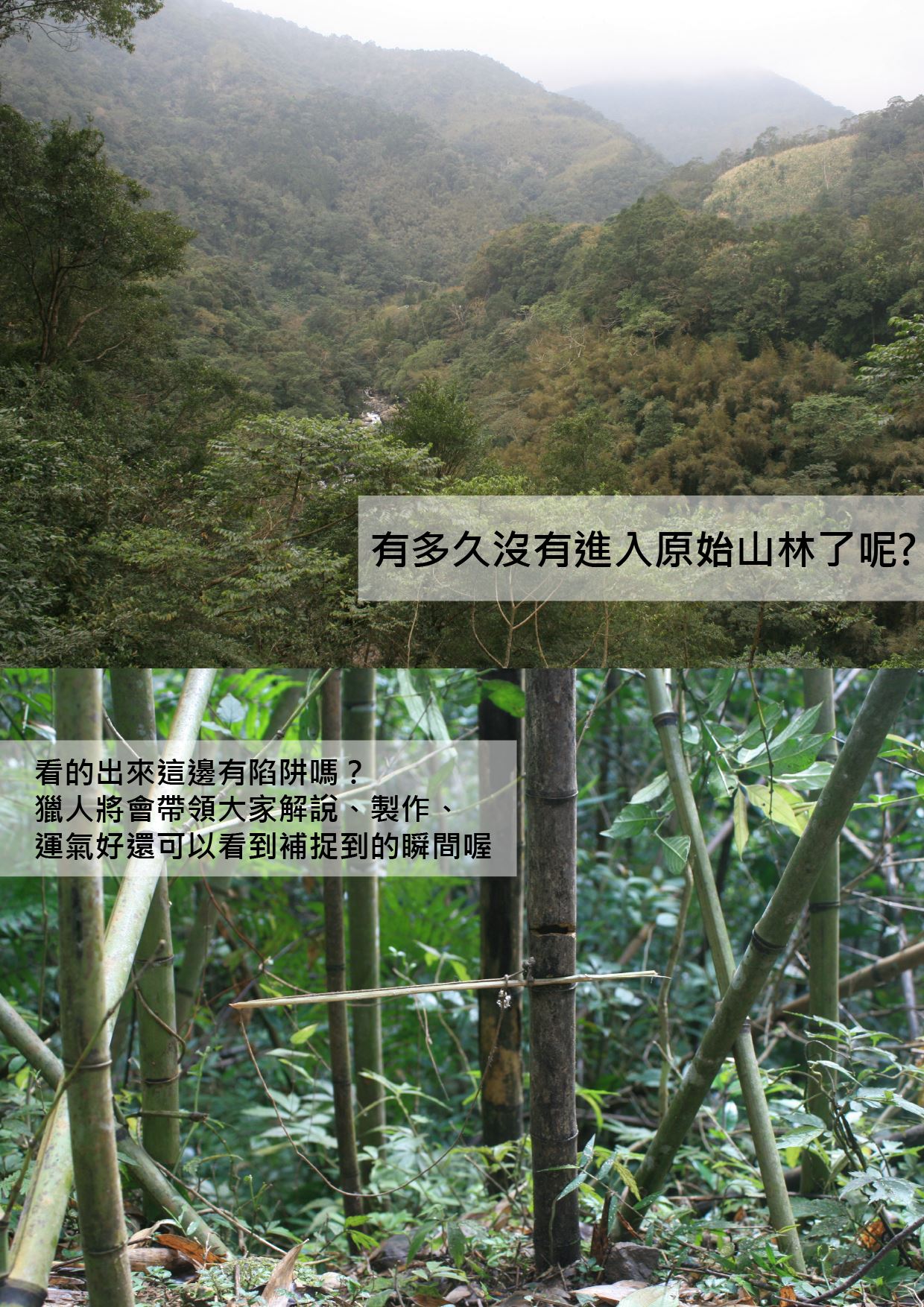 彩繪竹筒杯